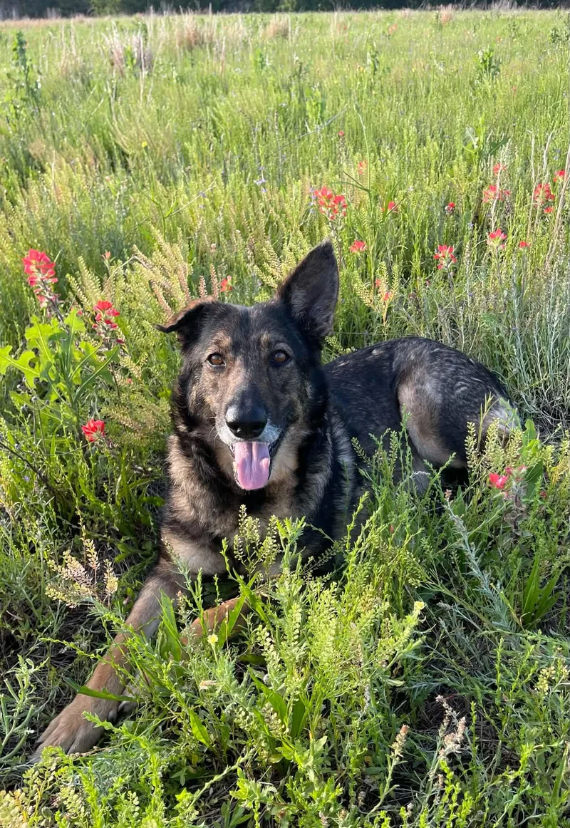 Mabeline thumbnail 3