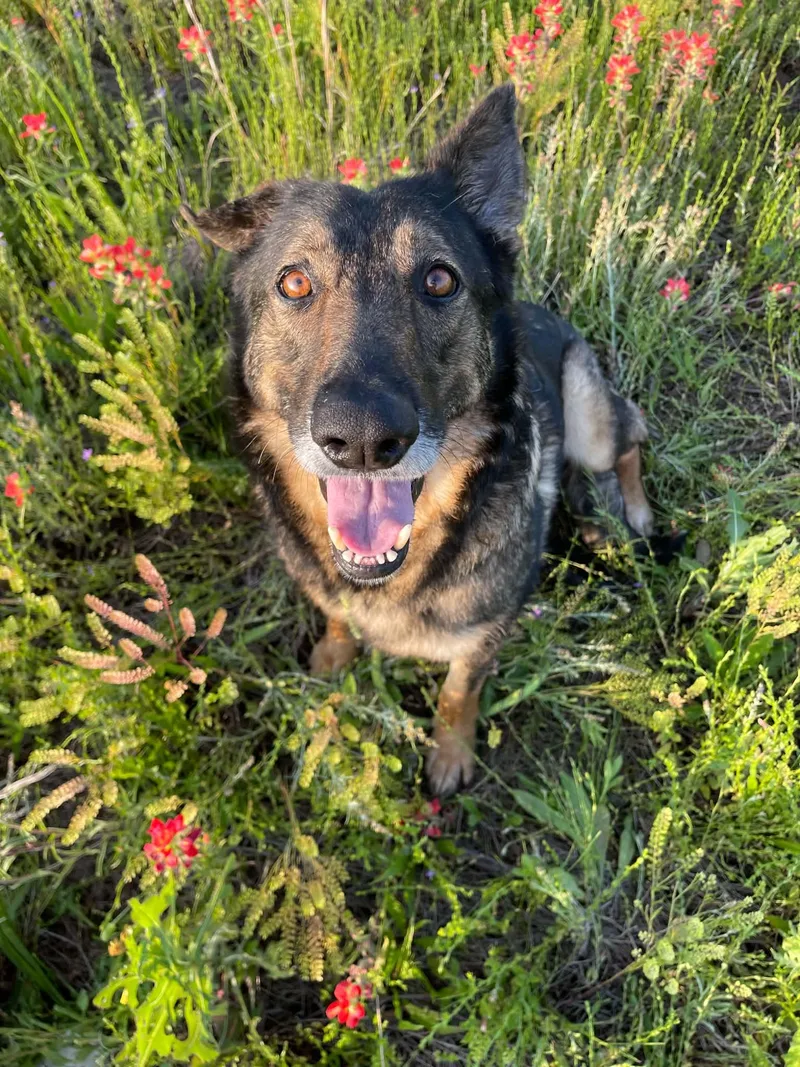 Mabeline thumbnail 4