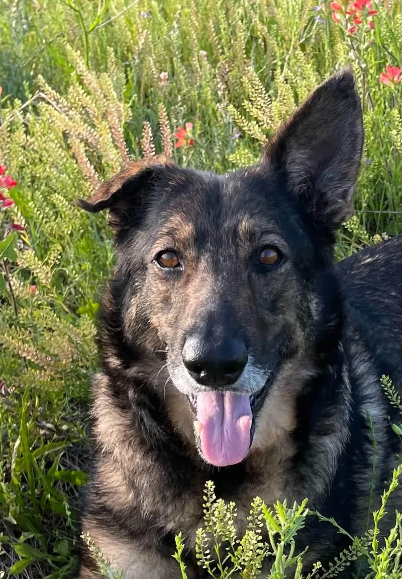 Mabeline thumbnail 5