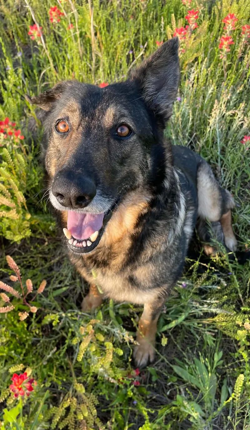 Mabeline thumbnail 6