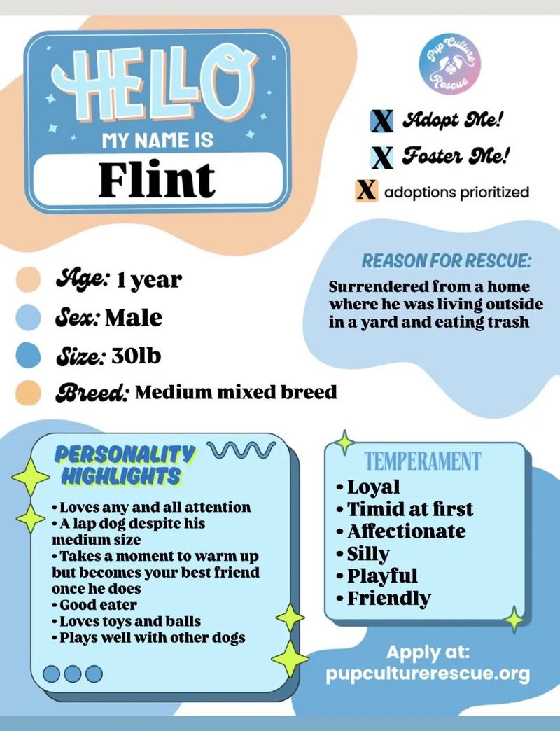 Flint thumbnail 2