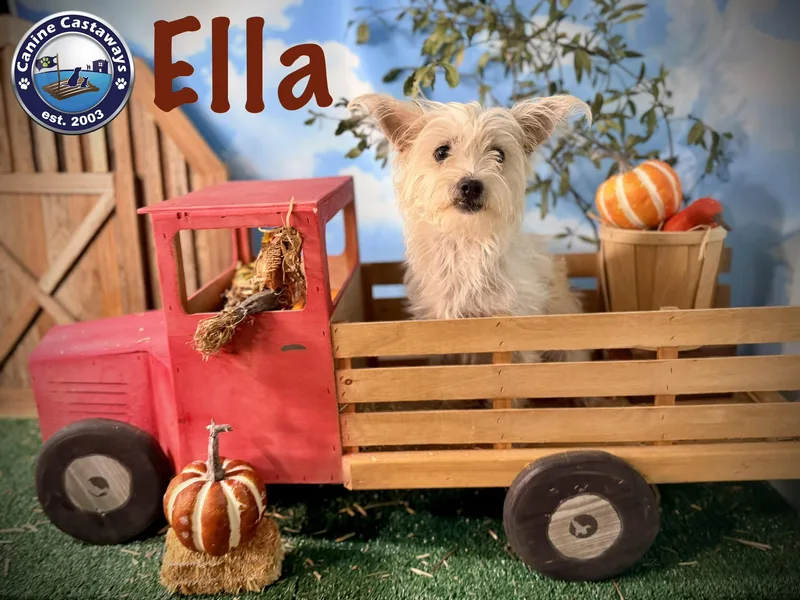 Ella thumbnail 3