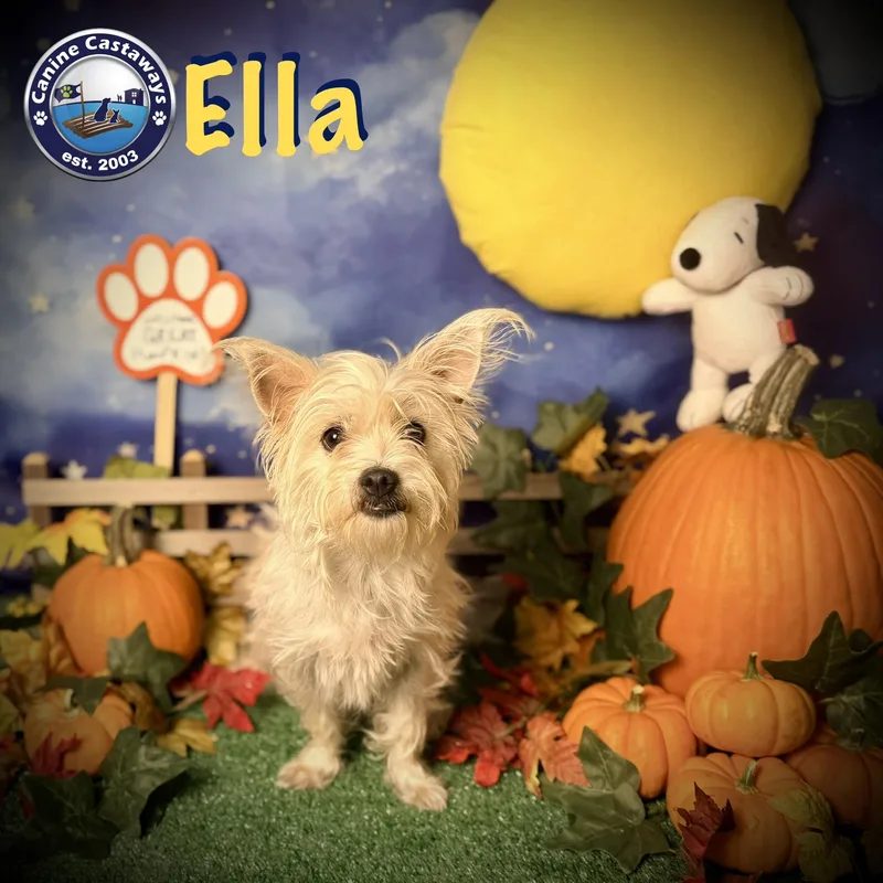 Ella thumbnail 4