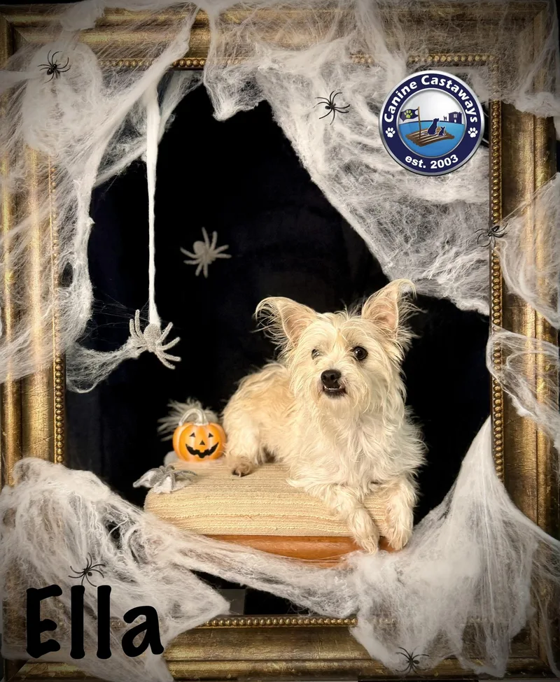 Ella thumbnail 5