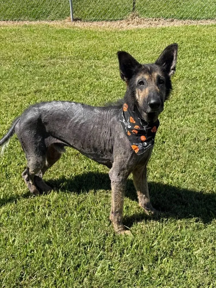 Paul Mccartney thumbnail 3