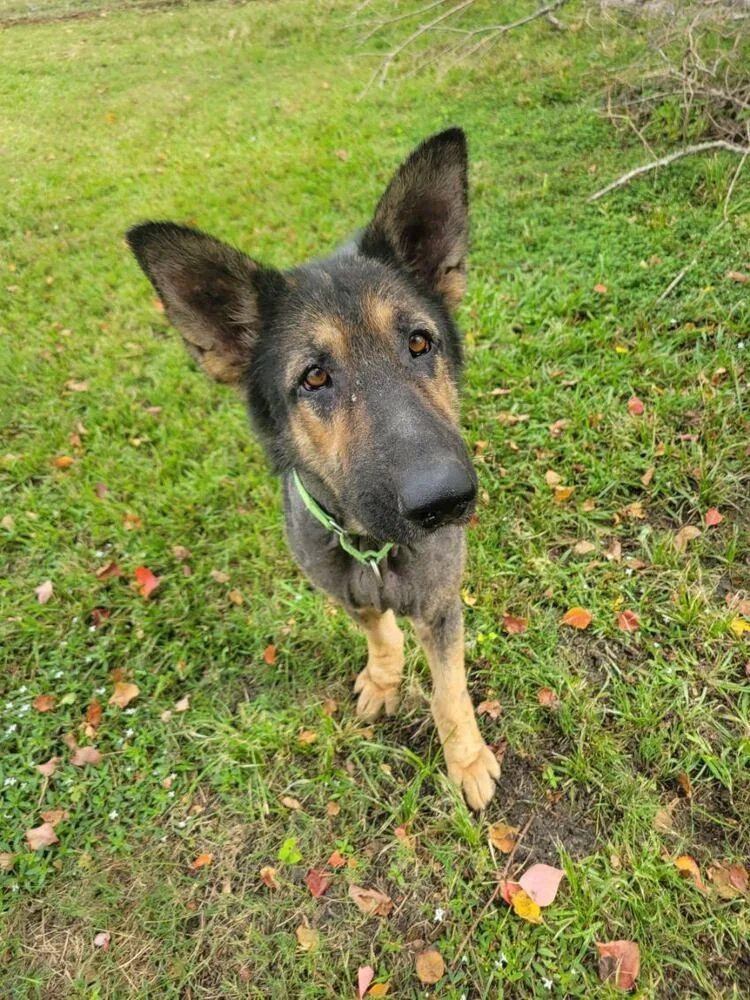 Paul Mccartney thumbnail 4