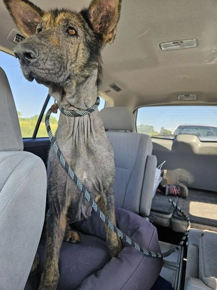 Paul Mccartney thumbnail 5