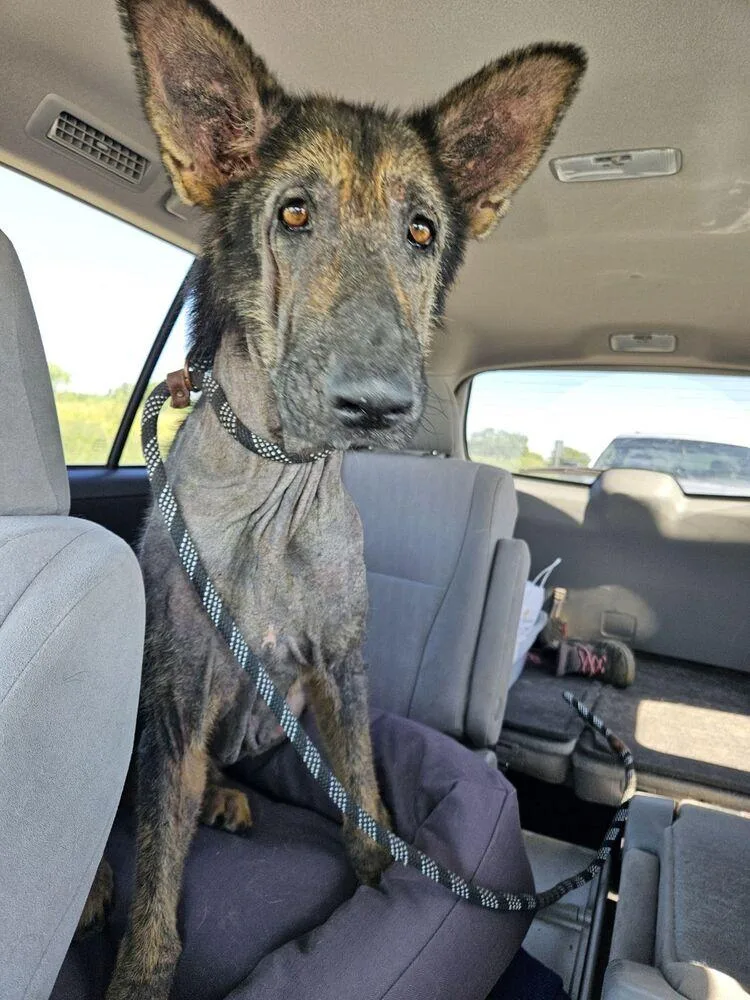 Paul Mccartney thumbnail 6