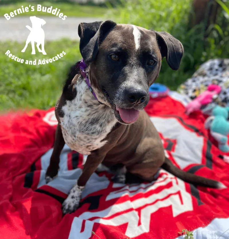 De La Cruz thumbnail 2