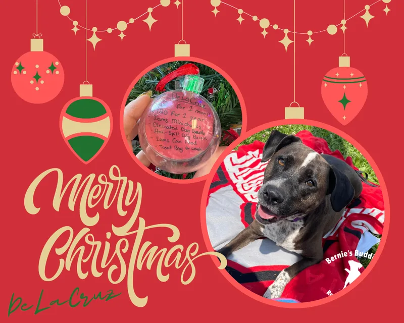 De La Cruz thumbnail 3