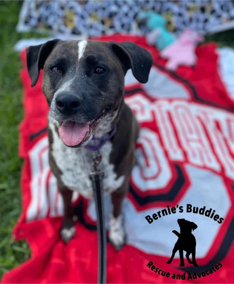 De La Cruz thumbnail 5