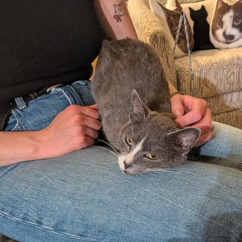 Sneakers thumbnail 6