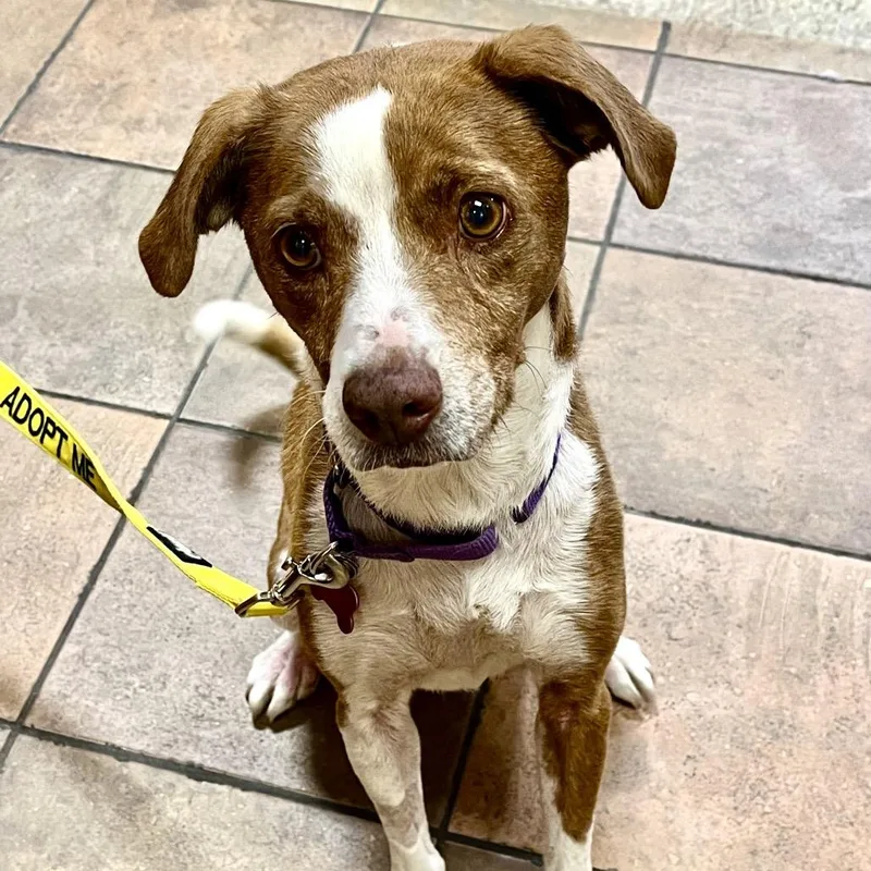 Florence thumbnail 2