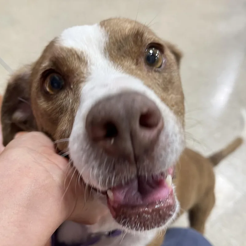 Florence thumbnail 3