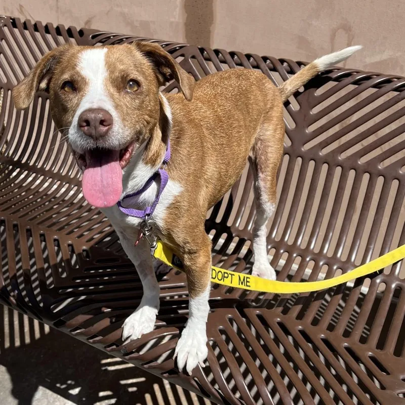 Florence thumbnail 4