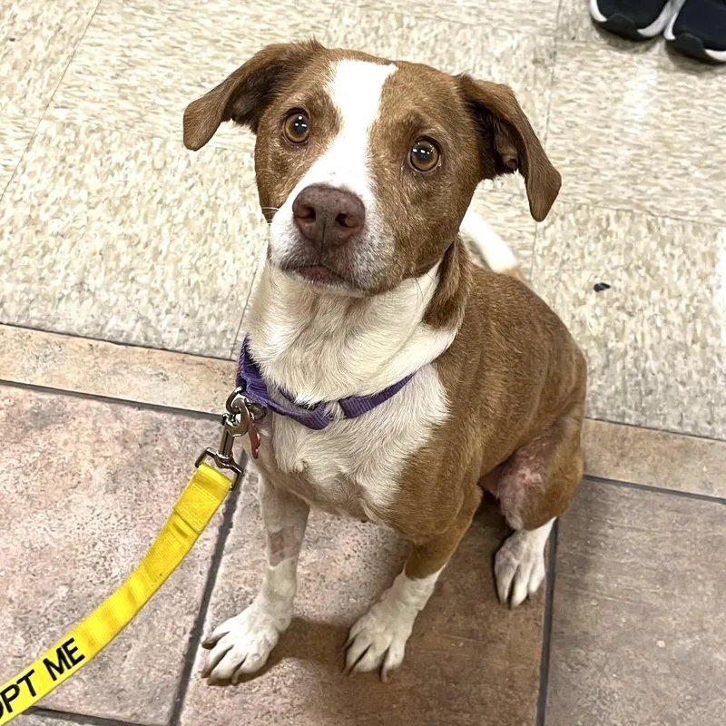 Florence thumbnail 5