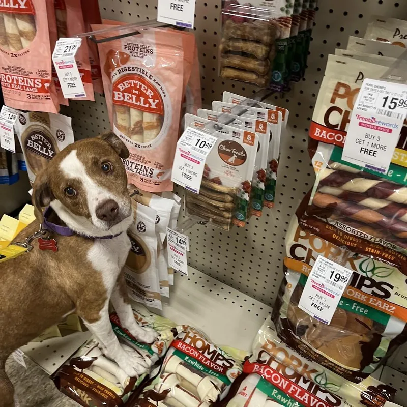 Florence thumbnail 6