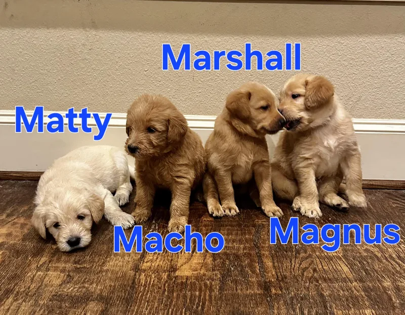 Major