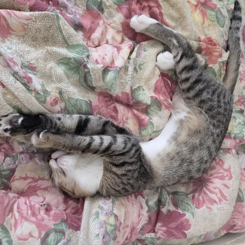 Eleanor and Simon thumbnail 3