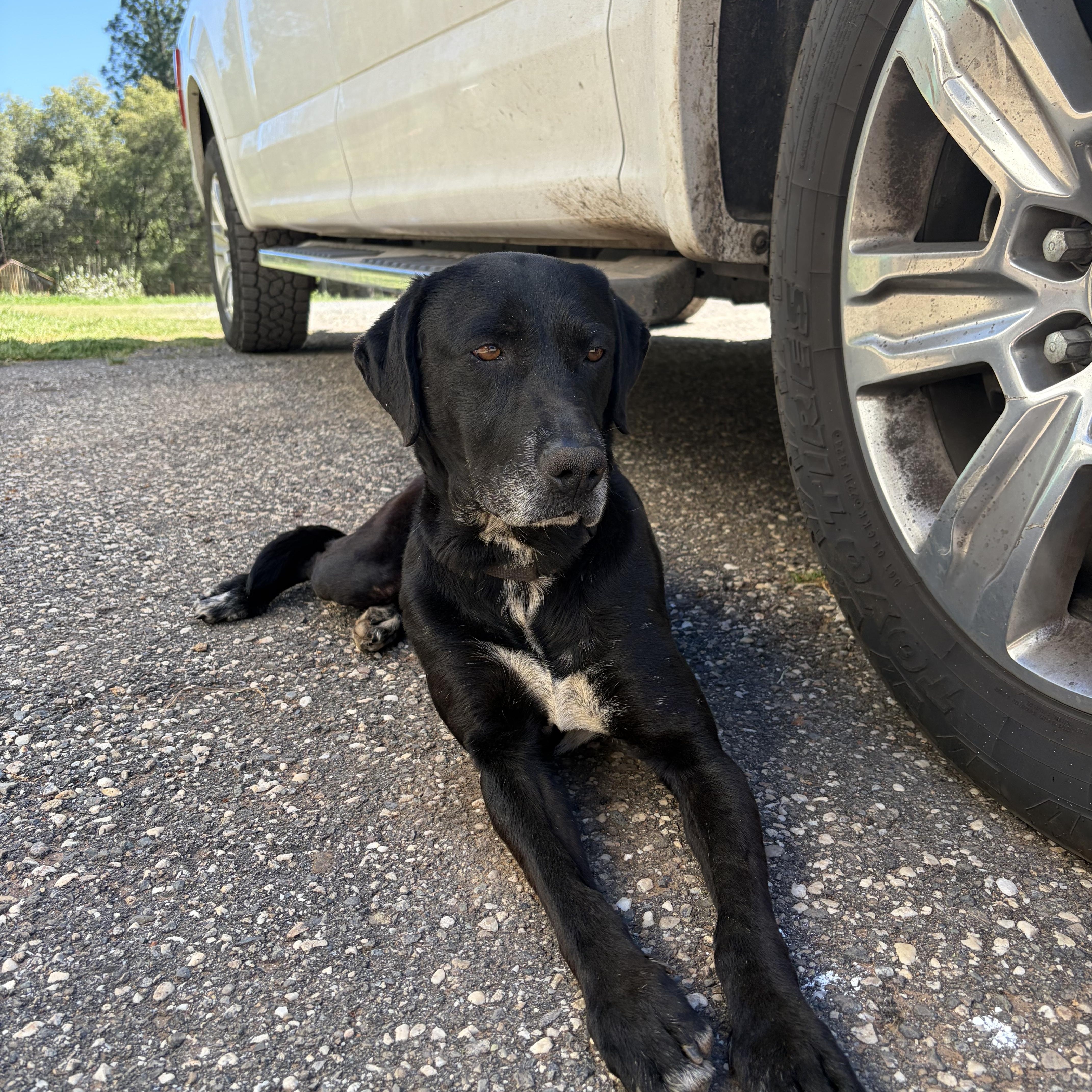 Courtesy Listing Ryno thumbnail 2