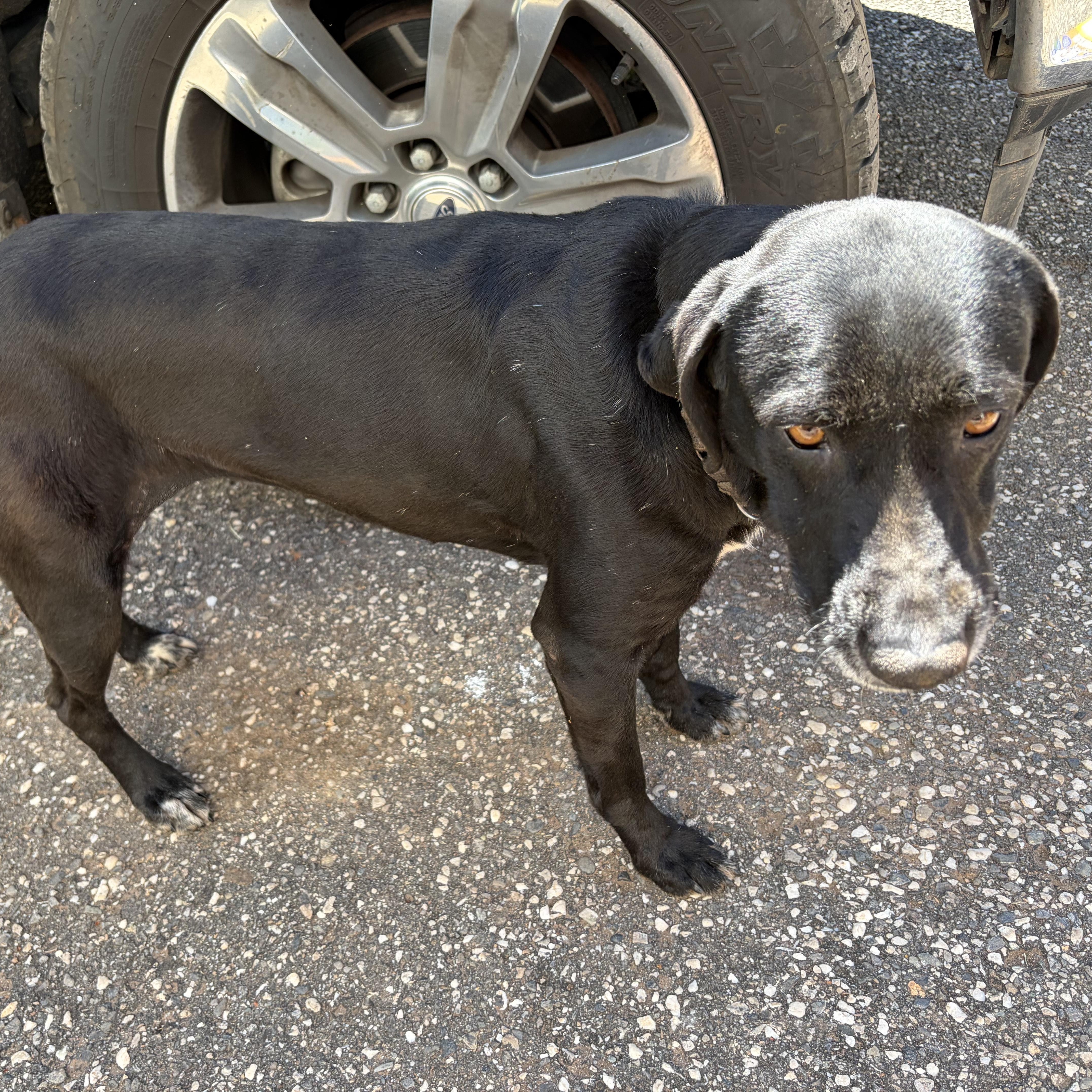 Courtesy Listing Ryno thumbnail 3