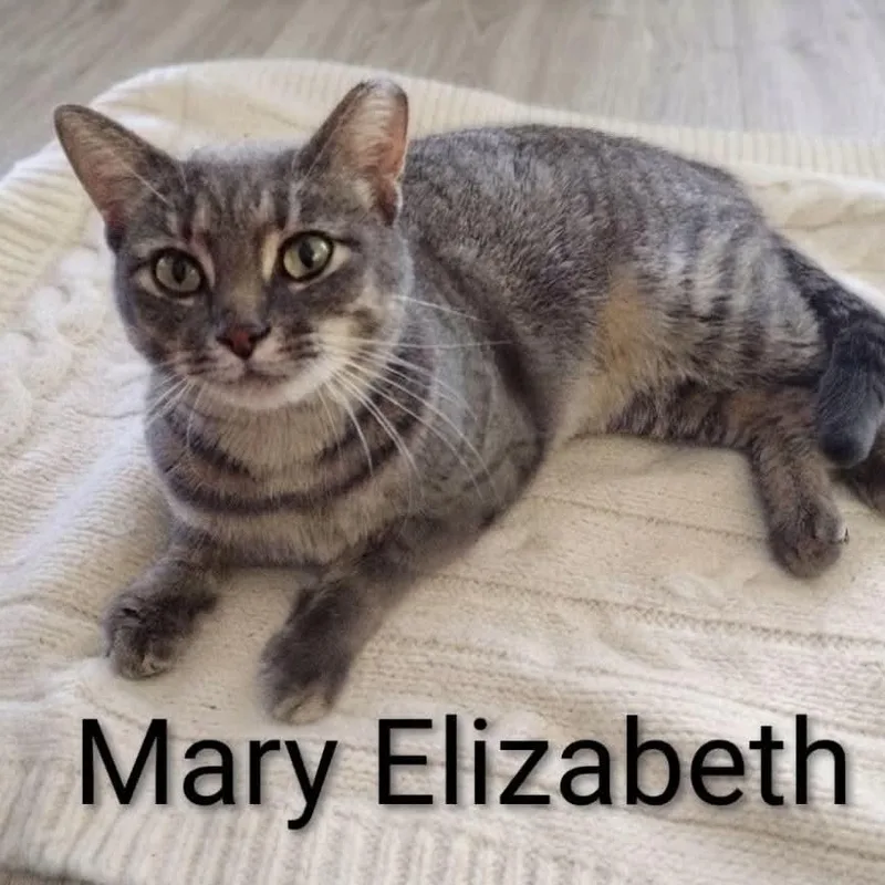 Mary Elizabeth thumbnail 2