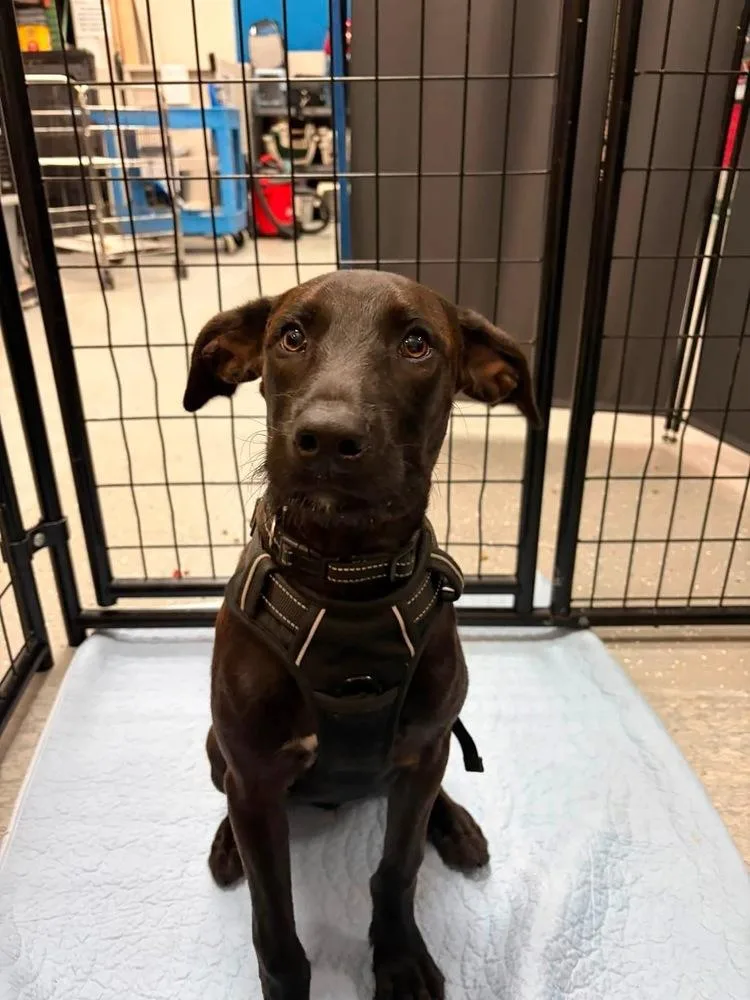Wallen thumbnail 2
