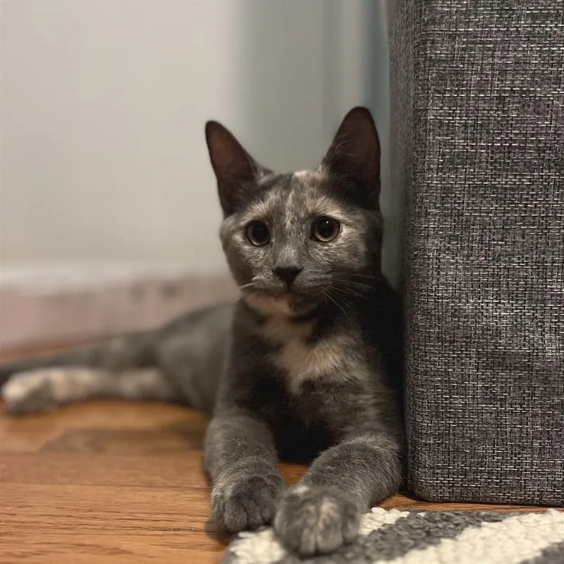 Daisy Mae thumbnail 3