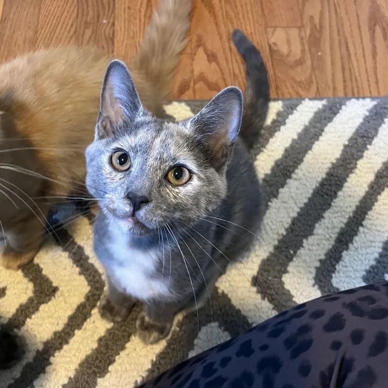 Daisy Mae thumbnail 5