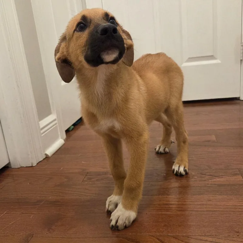 Sammy