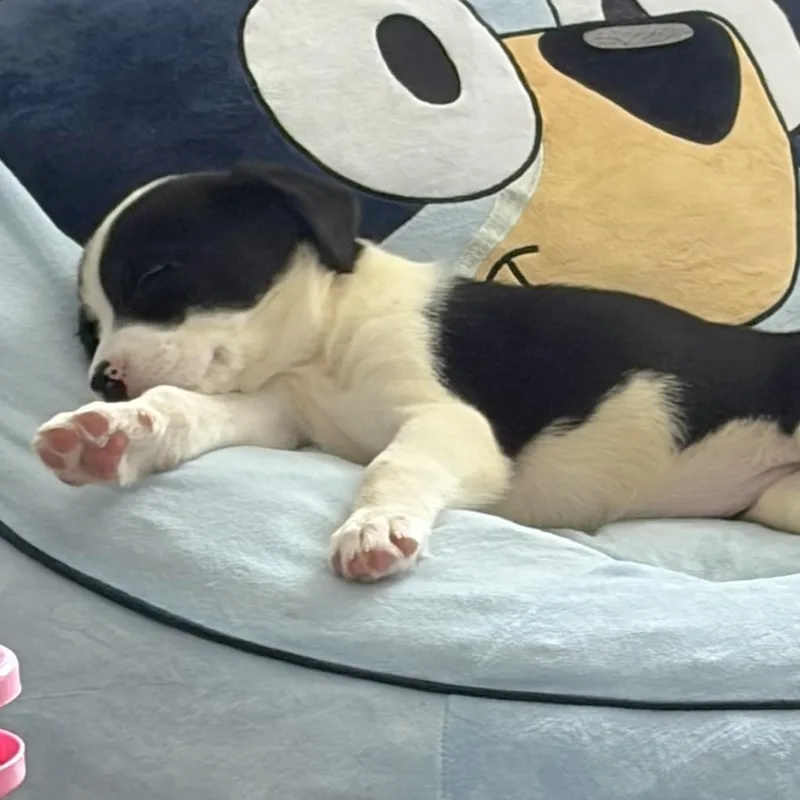 Minnie thumbnail 2