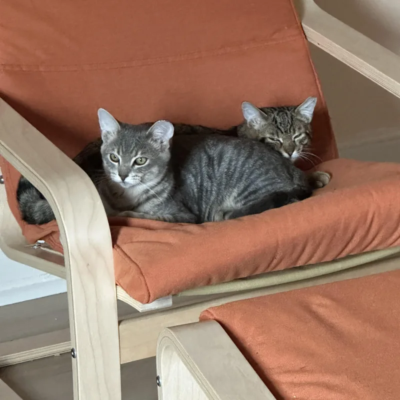 Franco and Tommy thumbnail 3