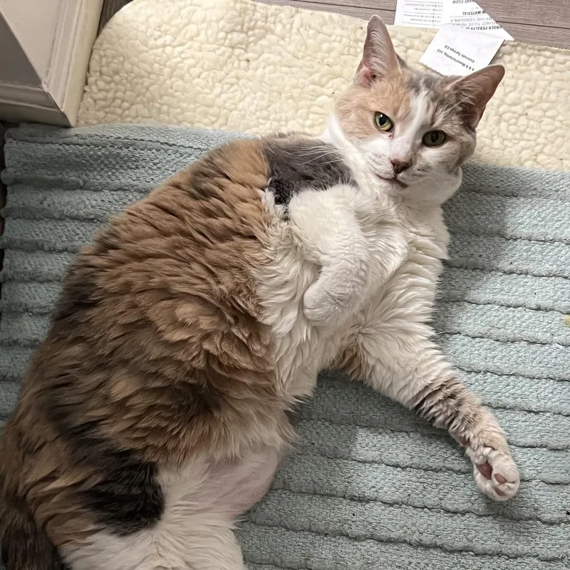 Grand Grandma Duchess