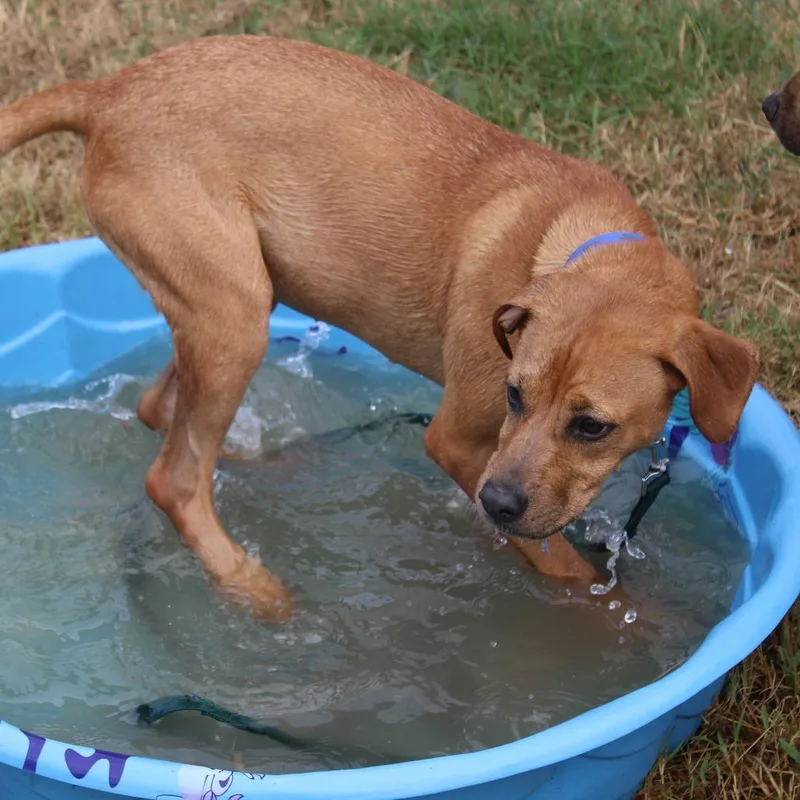 Nala thumbnail 2