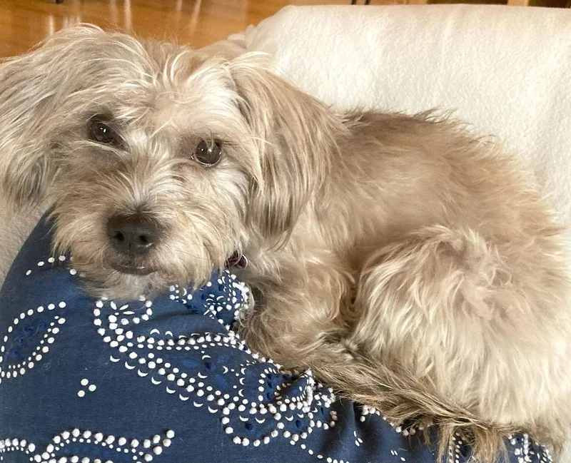 Steffie  Plunkett thumbnail 3