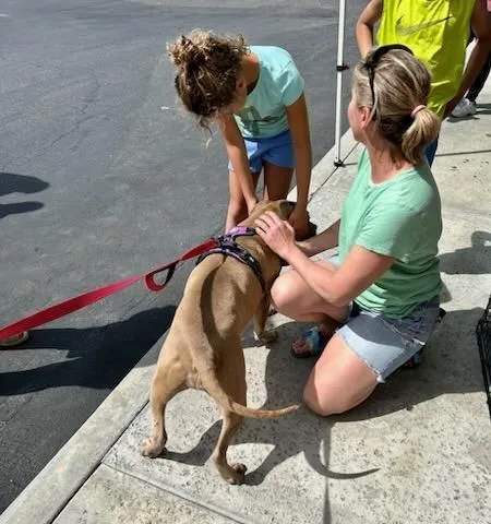 Penny...from Lost In Space!!! thumbnail 2