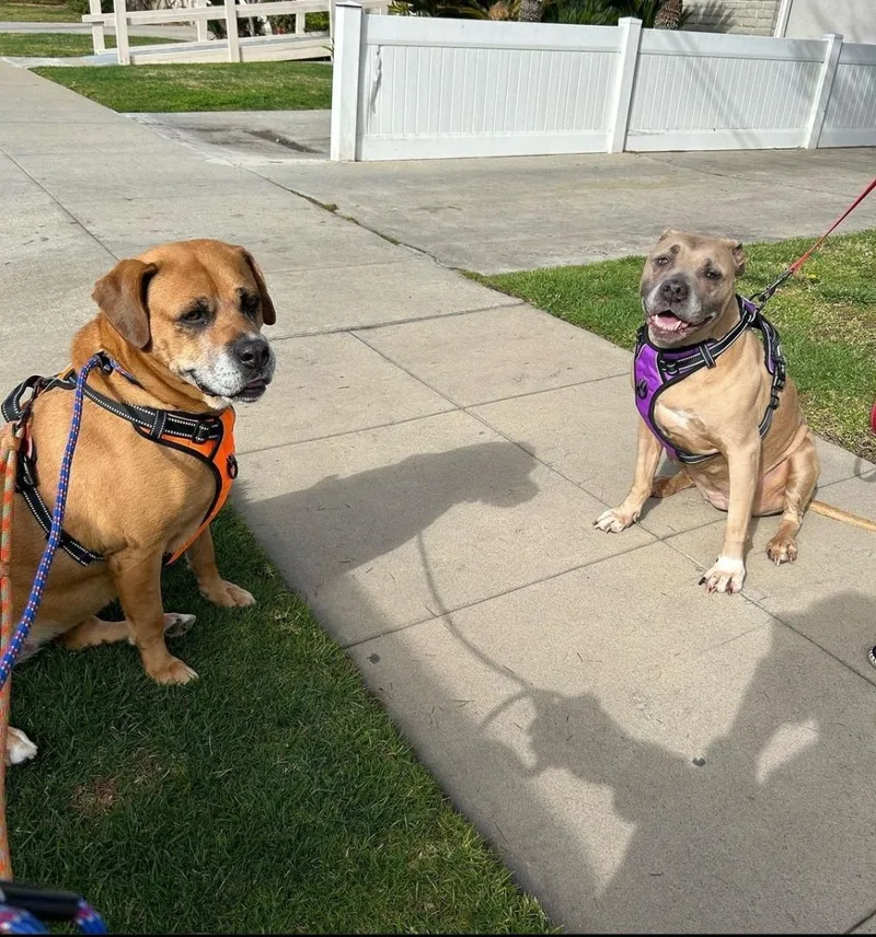 Penny...from Lost In Space!!! thumbnail 3