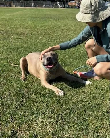 Penny...from Lost In Space!!! thumbnail 4