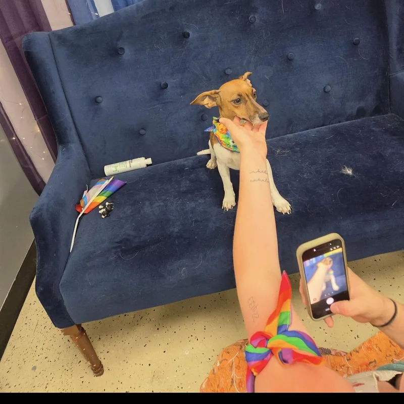 Rosie thumbnail 6