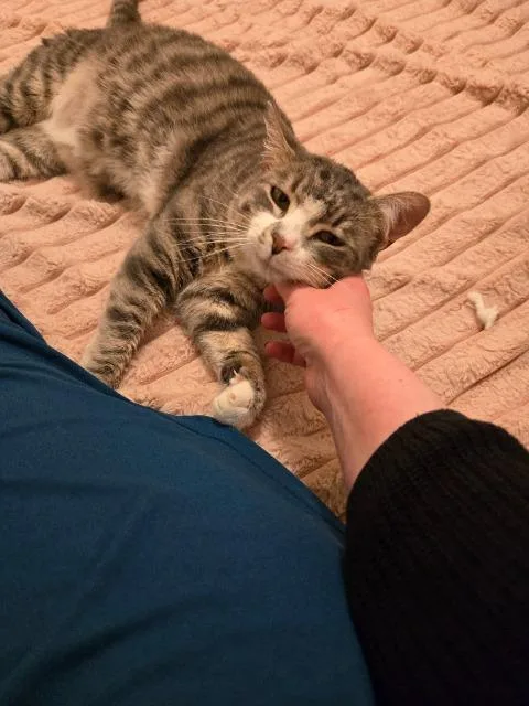 Milo