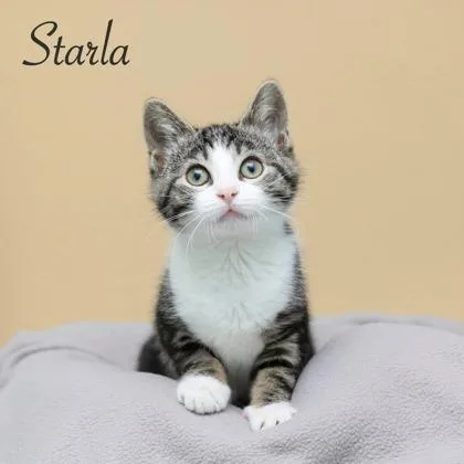 Starla