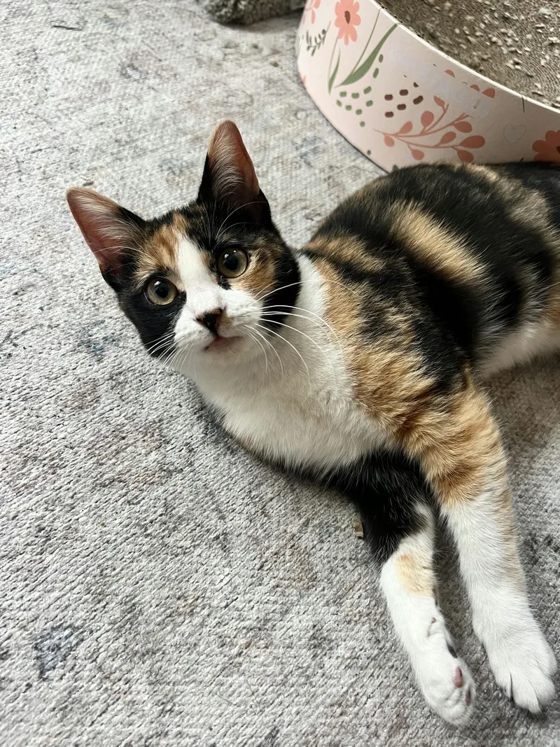 Lillian Madge thumbnail 2