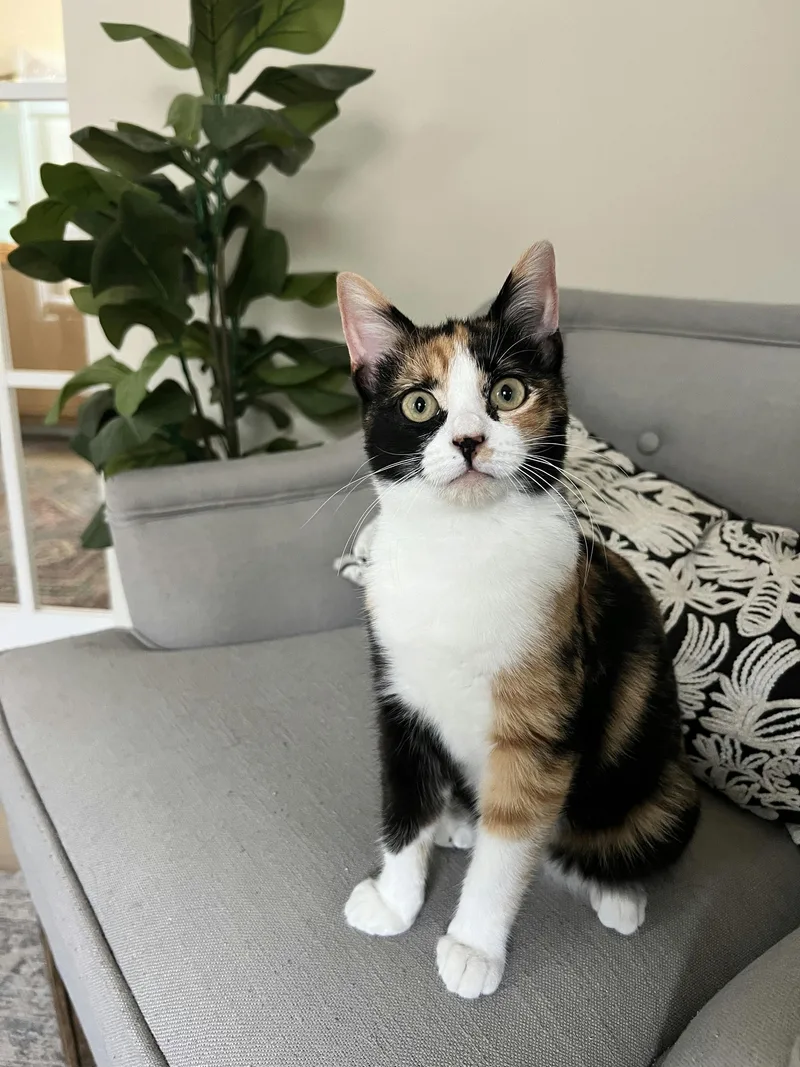 Lillian Madge thumbnail 3