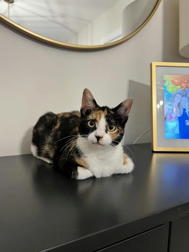 Lillian Madge thumbnail 4