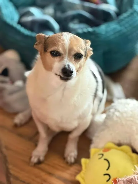 Sampson Fta thumbnail 3