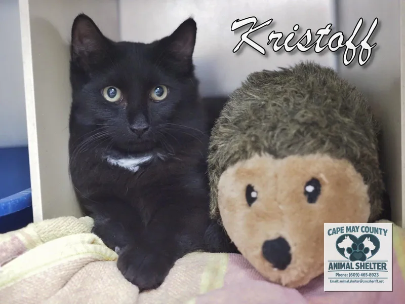 Kristoff thumbnail 2