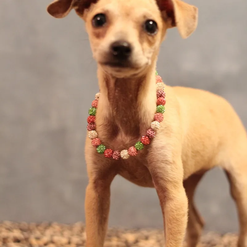 Lorraine thumbnail 2