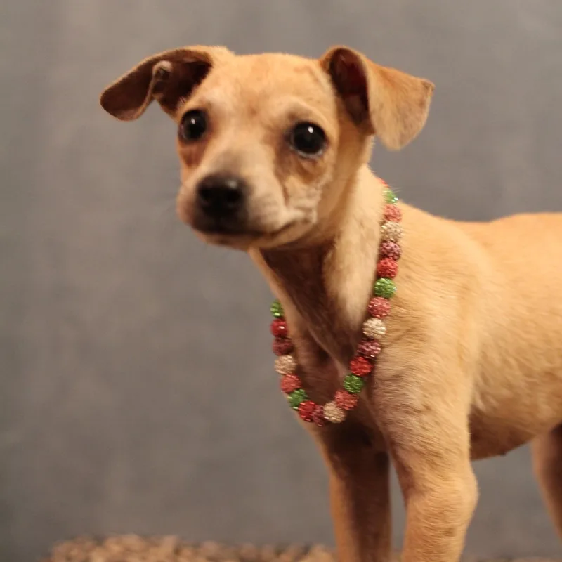 Lorraine thumbnail 3