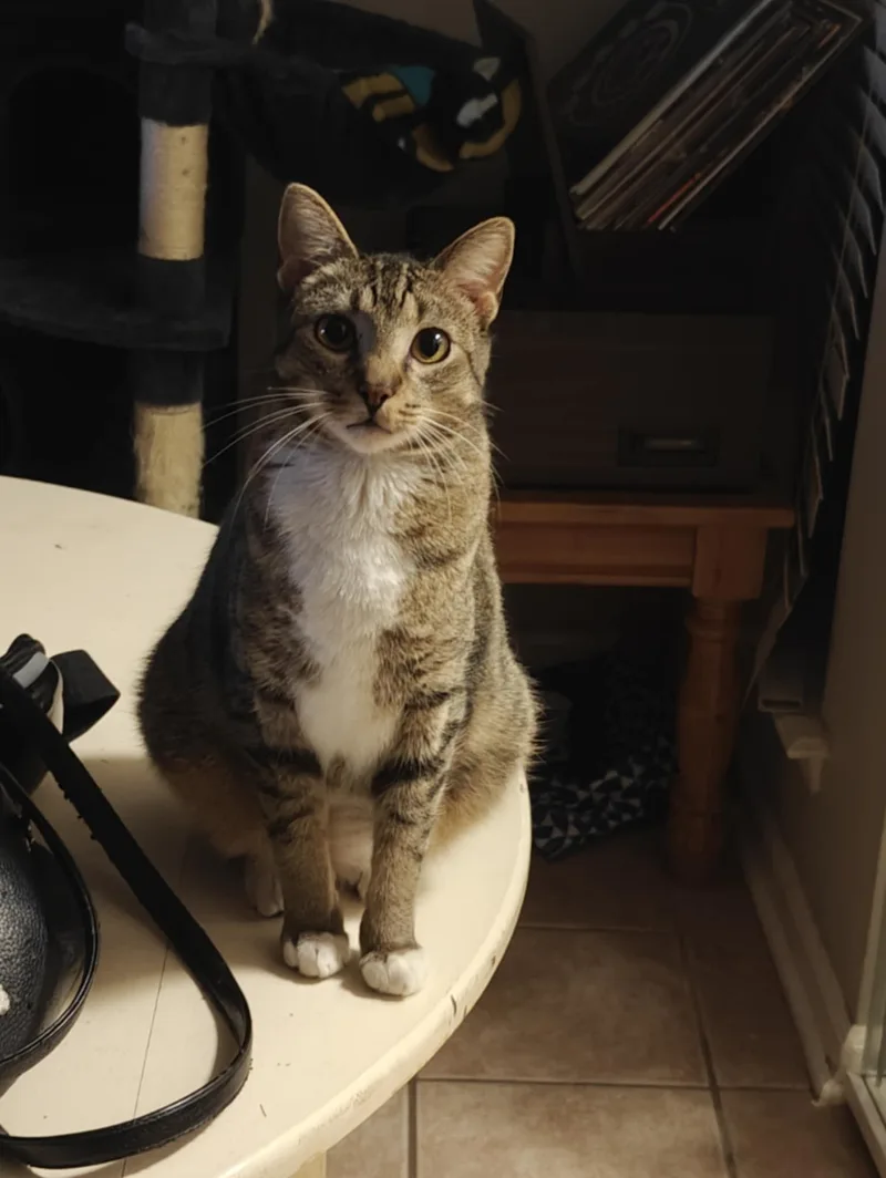 Blu & Bon Clay thumbnail 2