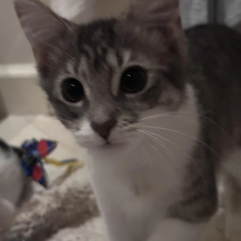 Sally thumbnail 2